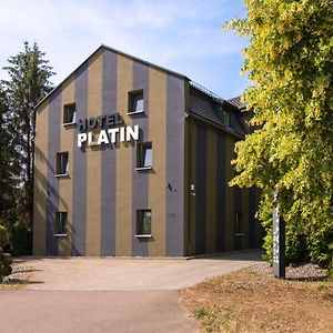 Hotel Platin